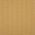 MOTIVE 18J8171 by JF Designer Fabric Renegade Fibreguard 100% Polyester India  Horizontal: 2.125 and Vertical: 0.125 54  - Swanky Fabrics -