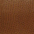 Phoenix Outback TPH-010 by Nassimi Designer Fabric our website for purchase 100% Vinyl USA or Asia Water-based cleaning agents and foam may be used for cleaning. This fabric may also be cleaned with mild, water-free solvents. Cleaning by a professional cleaning service is recommended. Horizontal: - and Vertical: - 54" - Swanky Fabrics -
