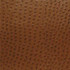 Phoenix Outback TPH-010 by Nassimi Designer Fabric See sample 100% Vinyl USA or Imported Water-based cleaning agents and foam may be used for cleaning. Cleaning by a professional cleaning service is recommended. </p><p>Repeat: Horizontal: and Vertical: 54" - Swanky Fabrics -