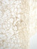Modern Lace Champagne SC271460002 by Scalamandre Designer Fabric MODERN LUXURY 100% POLYESTER ITALY LIGHT DUTY Horizontal: 4" and Vertical: 4.25" 116 - Swanky Fabrics -