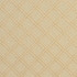 5546 Ivory/Diamond by Charlotte Designer Fabric Enchanted Gardens 75% Cotton, 25% Polyester Asia Exceeds 120,000 Wyzenbeek Rubs (Heavy Duty) </p><p>Repeat: Horizontal: 1.5" x Vertical: 1.5" 54 Inches - Swanky Fabrics -