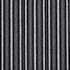 5825 Onyx Stripe by Charlotte Designer Fabric Classic Patterns 52% Polyester, 48% Cotton Made In USA Exceeds 120,000 Wyzenbeek Rubs (Heavy Duty) Horizontal: 2" 54 Inches - Swanky Fabrics -