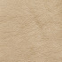 7424 Gold by Charlotte Designer Fabric Breathables 100% Breathable Polyurethane, 26oz. Asia Exceeds 250,000 Wyzenbeek Rubs (Heavy Duty) No Repeat 54 Inches - Swanky Fabrics -