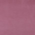 10001-02 by Charlotte Designer Fabric Cotton Velvet 100% Cotton, Velvet Made In USA Exceeds 100,000 Wyzenbeek Rubs (Heavy Duty) No Repeat 54 Inches - Swanky Fabrics -