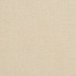 2944 Ivory by Charlotte Designer Fabric Ring Book Page #3A 100% Woven Polyester Asia Exceeds 100,000 Wyzenbeek Rubs (Heavy Duty) No Repeat 54 Inches - Swanky Fabrics -