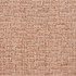 D349 Sienna by Charlotte Designer Fabric Crypton Volume 2 54% Olefin, 46% Polyester Made In USA Exceeds 60,000 Wyzenbeek Rubs (Heavy Duty) No Repeat 54 Inches - Swanky Fabrics -