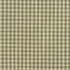 D119 Juniper Gingham by Charlotte Designer Fabric Clubhouse Collection 100% Woven Polyester Asia Exceeds 120,000 Wyzenbeek Rubs (Heavy Duty) Horizontal: .5" x Vertical: .5" 54 Inches - Swanky Fabrics -