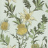 Thistle Lemon/Olive/D Egg by Cole & Son Designer Wallcovering COLE & SON BOTANICAL BOTANICA PAPER - 100% United Kingdom - Horizontal: - and Vertical: 25.2 20.5 - Swanky Fabrics -