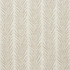 Creeping Fern Dune 75450 by Schumacher Designer Fabric Celerie Kemble 27.75" - Swanky Fabrics -