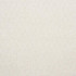 Abaco Ivory 75340 by Schumacher Designer Fabric Nautilus 1.25" - Swanky Fabrics -