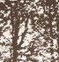 Woodland Bark 176212 by Schumacher Designer Fabric Good-Vibrations 55% Linen, 45% Cotton Wyzenbeek 15,000 Horizontal: 27 and Vertical: 36 54 - Swanky Fabrics -