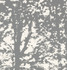 Woodland Smoke 176211 by Schumacher Designer Fabric Good Vibrations LINEN 55% COTTON 45% UNITED STATES OF AMERICA WYZENBEEK 15,000 </p><p>Repeat: Horizontal: 27" (69CM) and Vertical: 36" (91CM) 54 - Swanky Fabrics -