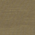 Succulent Reed by Carole Designer Fabric Succulent,Succulent II 100% POLYESTER INDIA N/A Horizontal: None and Vertical: NONE 54" - Swanky Fabrics -