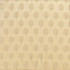 Cambridge Tusk by Norbar Designer Fabric 100% POLYESTER CHINA 2 7/8"V - 2 1/2"H 56 - Swanky Fabrics -