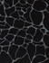 Darwin Noir 947 by Norbar Designer Fabric VELVET 100% POLYESTER CHINA 15 1/4"V 26 3/4"H 58 - Swanky Fabrics -