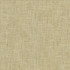 Photo Finish Flannel  by Kasmir Designer Fabric 5162 100% Polyester
 INDIA 12,000 Wyzenbeek Double Rubs Horizontal: N/A and Vertical: N/A 54  - Swanky Fabrics -