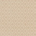 CB700-375 by Charlotte Designer Fabric Shades of Neutral 100% Woven Polyester China Exceeds 90,000 Wyzenbeek Rubs (Heavy Duty) Horizontal 1.5" x Vertical 1.5" 54 Inches - Swanky Fabrics -
