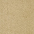 Interlude Camel 1003278 by Crypton Designer Fabric See sample 100% Polyester USA or Imported Water-based cleaning agents and foam may be used for cleaning. This fabric may also be cleaned with mild, water-free solvents. Cleaning by a professional service is recommended. </p><p>Repeat: Horizontal: Not Applicable and Vertical: Not Applicable 54" - Swanky Fabrics -