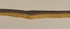 T1133 Lipcord 6Mm Lipcord 6Mm 330 by RM CoCo Designer Fabric Metropolitan Horizontal: 0 and Vertical: 0 0 - Swanky Fabrics -