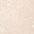 Emaline Embroidery Blush 78310 by Schumacher Designer Fabric Exquisite Embroideries 24.75" - Swanky Fabrics -