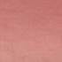 Madison Velvet Pomelo by Kravet Contract Designer Fabric POLYESTER - 100% Turkey HEAVY Horizontal: and Vertical: 55 - Swanky Fabrics -