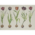 Tulips 310 by Kravet Couture Designer Wallcovering ANDREW MARTIN SCHOLAR WOOD PULP - 45%;BINDER - 20%;MINERAL FILLERS - 20%;POLYESTER - 15% United Kingdom Horizontal: 110.25 and Vertical: 138 110.25 - Swanky Fabrics -