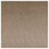 Pulse Taupe by Clarke And Clarke Designer Fabric CLARKE & CLARKE TEMPO VELVETS POLYESTER - 100% China HEAVY Horizontal: 2.56 and Vertical: 8.66 56 - Swanky Fabrics -