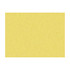 Shots Oro Da Firenze by Brunschwig & Fils Fabric Brunschwig & Fils Fabric Shots Oro Da FirenzeFabric JAGTAR SILK - 100% Thailand </p><p>Repeat: H: 0, V: 0 54 - Fabric Carolina -