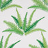 Canyon Ferns Jungle 5012621 by Schumacher Designer Wallpaper Cristina Buckley 27.0" - Swanky Fabrics -