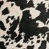 S5478 Chalkboard by Greenhouse Designer Fabric M14: Memos by Color 100% Polyester China 97,000 double rubs </p><p>Repeat: 27.25" H, 26.88" V 54" - Swanky Fabrics -