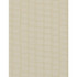 WTN1082.WT.0 by Winfield Thybony Wallcovering Winfield Thybony Wallcovering WTN1082.WT.0Wallcovering WINFIELD THYBONY TANIYA NAYAK MYLAR ON NON WOVEN - 100% United States </p><p>Repeat: H: , V: 18 54 - Fabric Carolina -