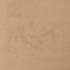 D3193 Oat by Charlotte Designer Fabric Microsuede II 100% Polyester Asia Exceeds 20,0000 Wyzenbeek Rubs (Heavy Duty) </p><p>Repeat: No Repeat 54 Inches - Swanky Fabrics -