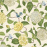 Cosset 1 Seedling by Stout Designer Fabric RAINBOW LIBRARY SAGE/CYPRESS 100%COT PERU Horizontal: 13.500 and Vertical: 27.000 54 in - Swanky Fabrics -