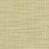 Secret Service Lime by Carole Designer Fabric Laguna 100% Polyester INDIA N/A None 54" - Swanky Fabrics -