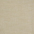 Nanette # 802 Cashew by Maxwell Designer Fabric Performance Wovens-Vol. Vi Pampas 73% UV POLYESTER 27% UV RECYCLED POLYESTER USA V-3.6" H-0.5" 55.8" - Swanky Fabrics -