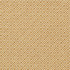 CB800-442 by Charlotte Designer Fabric Shades of Honey 100% Polyester Asia Exceeds 60,000 Wyzenbeek Rubs (Heavy Duty) Horizontal 1" x Vertical 1" 54 Inches - Swanky Fabrics -
