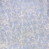 Le Krisel Cerulean by Europatex Designer Fabric Le Krisel 100% Polyester 15.00" H, 7.00" V 118.00 inches - Swanky Fabrics -