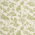 D4553 Ginkgo Grass by Charlotte Designer Fabric Veranda II 71% Polypropylene, 29% Polyester Mexico </p><p>Repeat: Horizontal 11" x Vertical 11" 54 Inches - Swanky Fabrics -