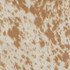 Kingdom Cheetah Tan by Europatex Designer Fabric Kingdom 100% Polyester 57.00 inches - Swanky Fabrics -