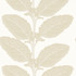 Lacinato Birch T12041 by Thibaut Wallpaper Thibaut Wallpaper Lacinato Birch T12041Wallpaper Vista </p><p>Repeat: V: 18.00"(45.72 cm) 27.00"(68.58 cm) - Fabric Carolina -