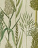 Riverside Flora Taupe Wallpaper by Mind the Gap Designer Wallpaper THE WETLANDS Non-woven Made in Europe Paste the wall 1 roll x 20.5x10.9 yards - Swanky Fabrics -