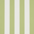 Emma Stripe Leaf 5017215 by Schumacher Designer Wallpaper Perennial Favorites 2.5" - Swanky Fabrics -