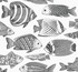 Wailea Black Tropical School Wallpaper by A-Street Prints Designer Newport Covers about 60.8 square feet 27-in by 27-ft long roll Unpasted 25.2 - Swanky Fabrics -