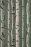 Chester Dark Green Birch Trees Wallpaper by Fine Decor Designer Medley Covers about 56.4 square feet 20.5-in by 33-ft long roll Unpasted 20.9 - Swanky Fabrics -
