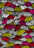 Dara Red Jolly Brollies Wallpaper by ohpopsi Designer Concept Covers about 54.2 square feet 19.7-in by 33-ft long roll Unpasted 27.9 - Swanky Fabrics -