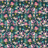Clarke And Clarke - Multipurpose - F1575/01.CAC.0 - Multipurpose - POLYESTER - 100% - India </p><p>Repeat: H: , V: 27.5 21 - My Fabric Connection -