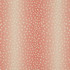CB900-203 by Charlotte Designer Fabric Shades of Wild Rose 72% Polyester, 20% Rayon, 8% Linen Asia Exceeds 180,000 Wyzenbeek Rubs (Heavy Duty) Horizontal 9" 54 Inches - Swanky Fabrics -