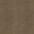 Expo Fawn by Norbar Designer Fabric EUPHORIA 100% POLYURETHANE S. KOREA 3 1/2"H 54 - Swanky Fabrics -