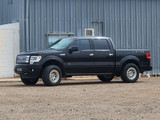 Front 2" Lift Struts #FO-F805-1F20