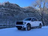 Freedom Off-Road Front 2" Lift Struts #FO-F804F20 